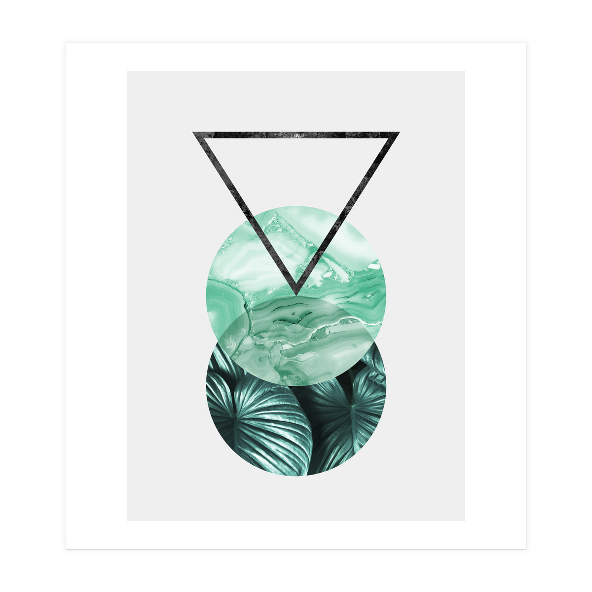 Botanical and geometric II (Print Only)