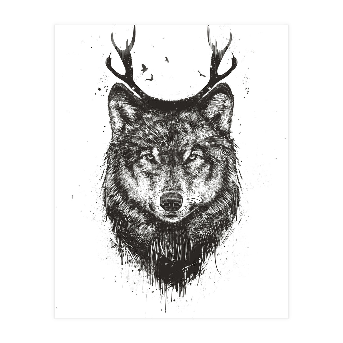 Deer Wolf Bw (Print Only)