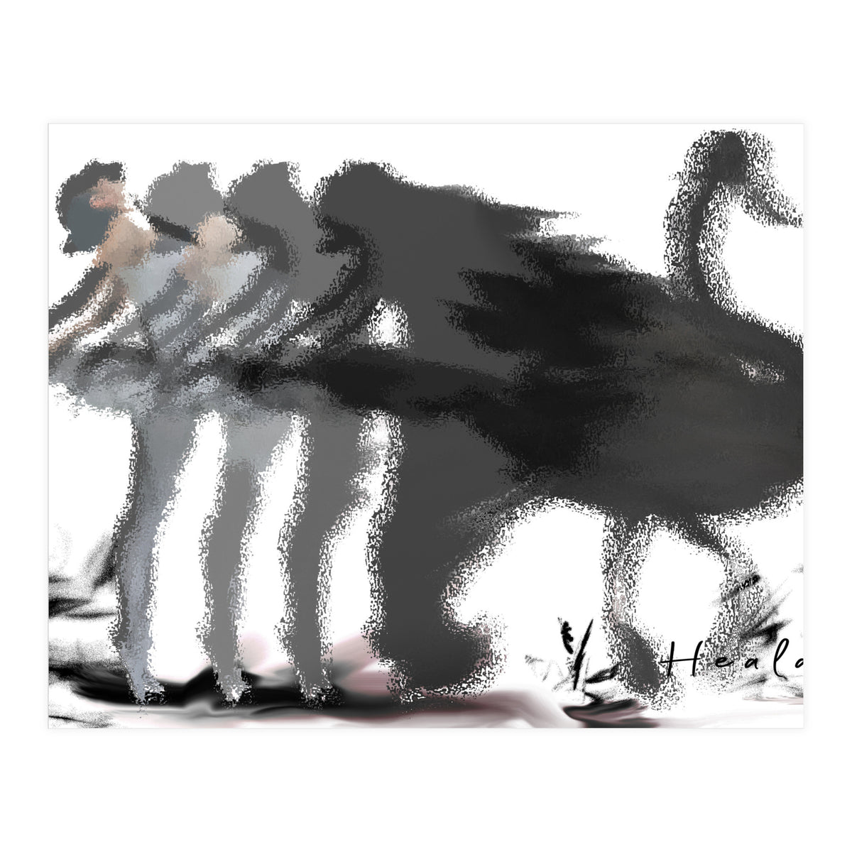 The Black Swan (Print Only)