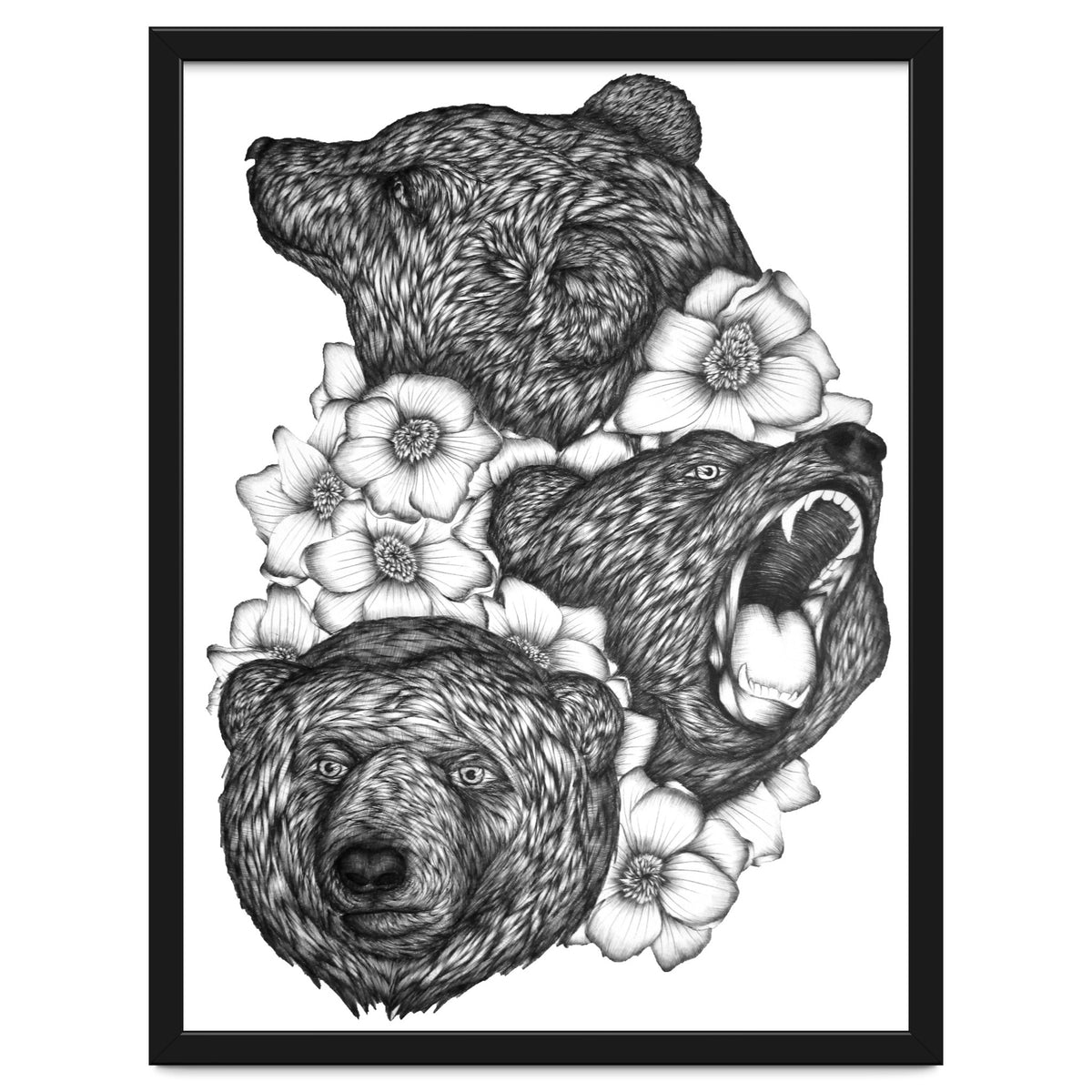 Bears In Bears