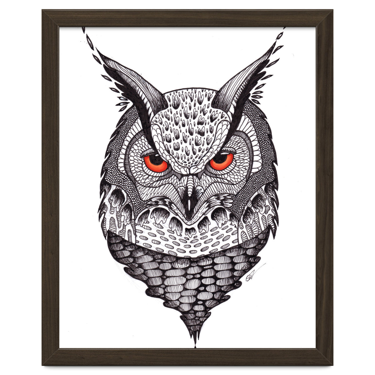 Owl