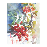 Viburnum / Guelder rose (Print Only) thumbnail