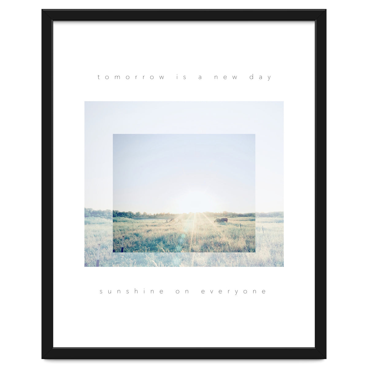 sunshine on everyone