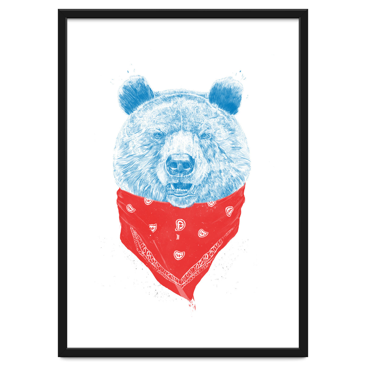 Wild Bear Color Version