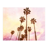 Coconut Groove (Print Only) thumbnail