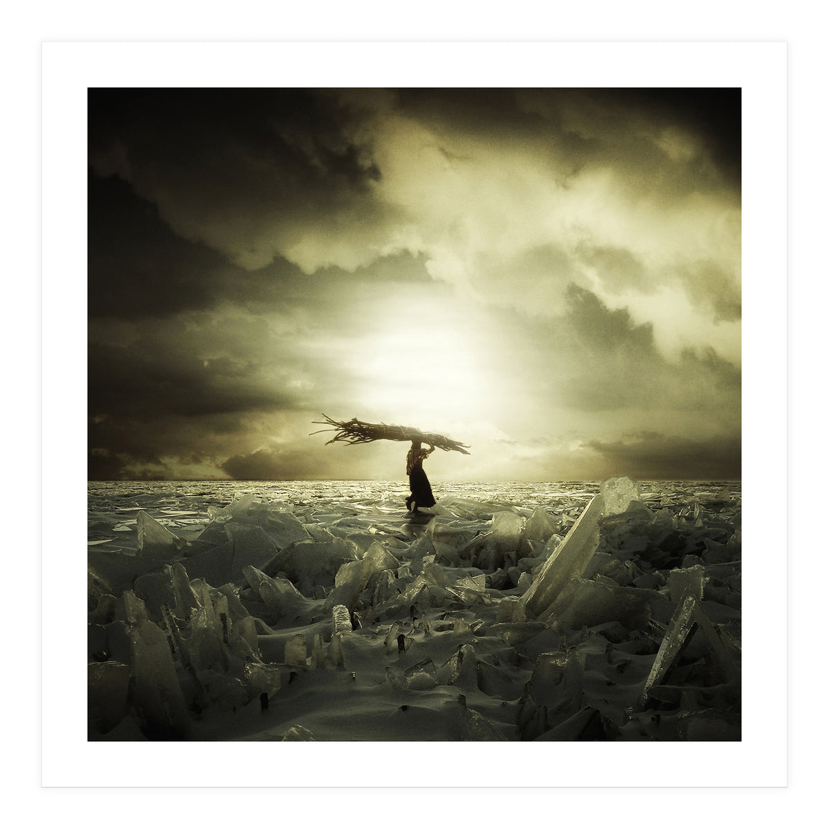 Frozen Nation (Print Only)