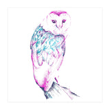 Barn Owl Pinquoise (Print Only) thumbnail