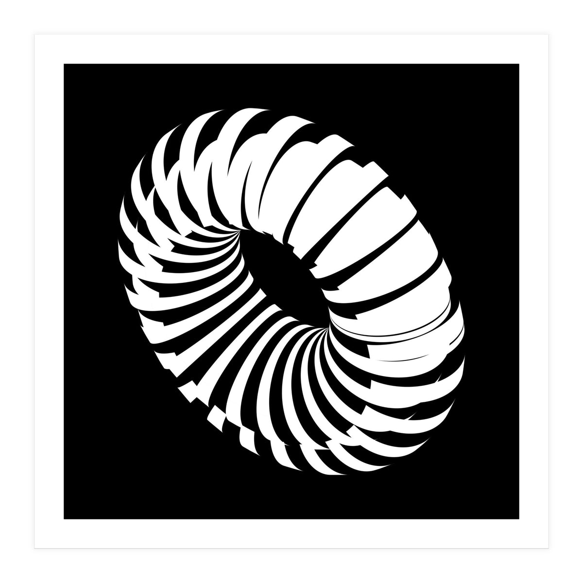 Kinetic_Black (Print Only)