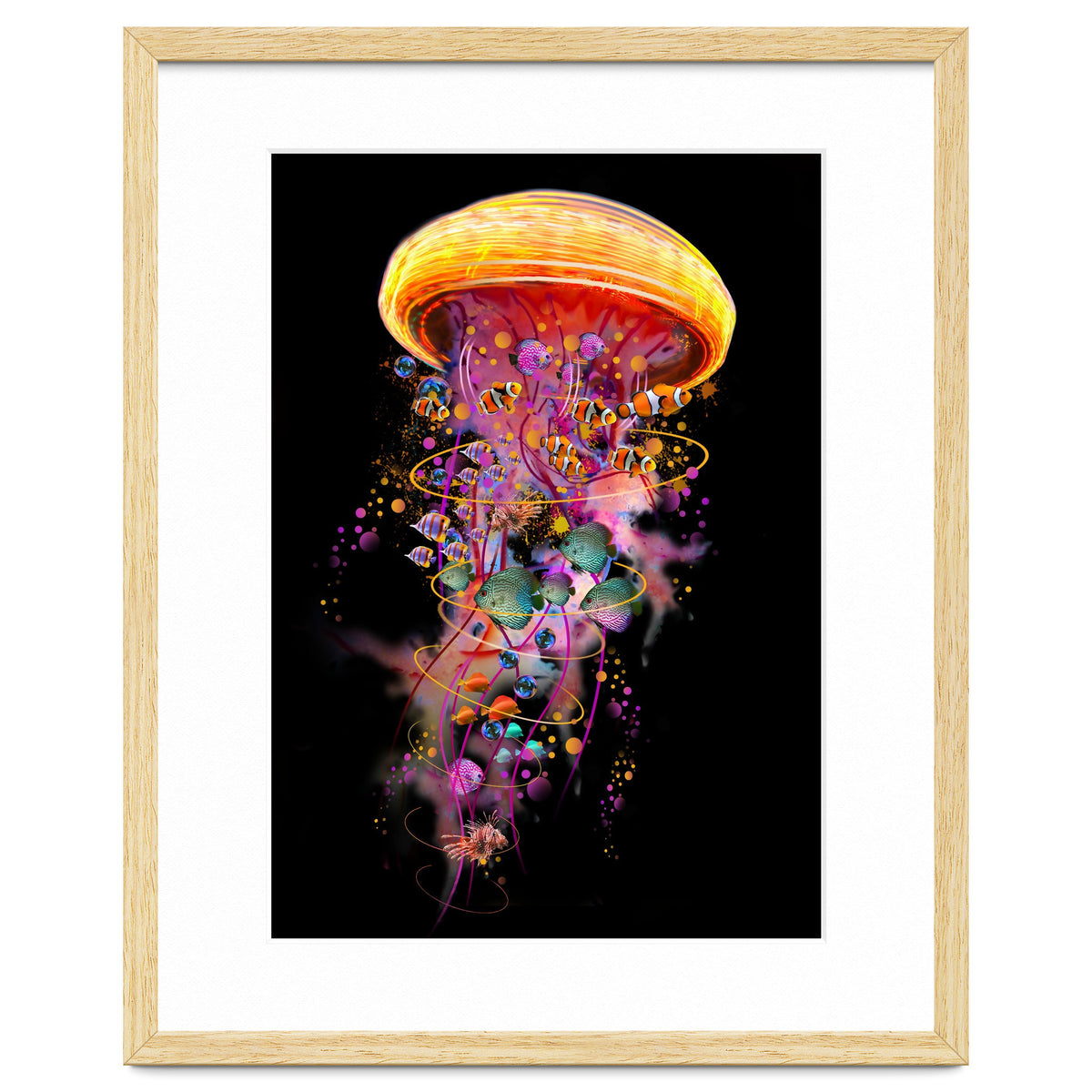 Jelly Fish Ride Summer2018 Dbh