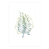 Geometry And Nature I (Print Only) thumbnail