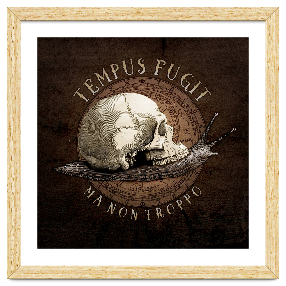 Tempus Fugit (ma non troppo)