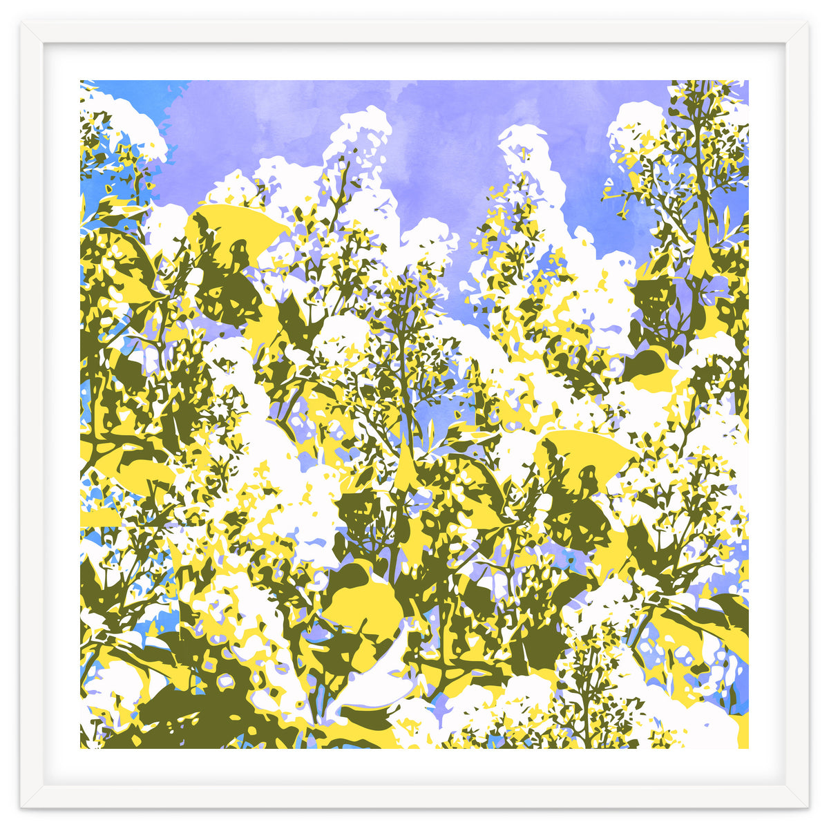 The Contrast Of Desire