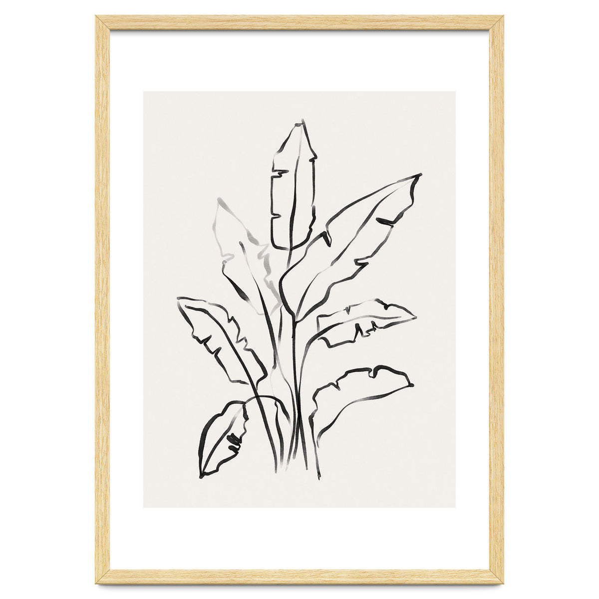 Banana Leafs Drawing