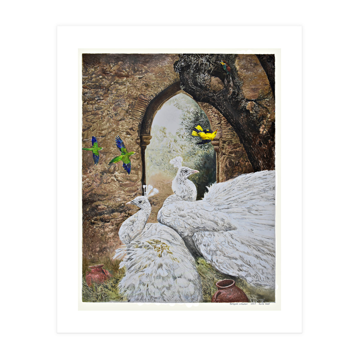 Portuguese Collection (Print Only)