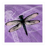 Blue dragonfly vector (Print Only)