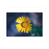 Butter (Print Only) thumbnail