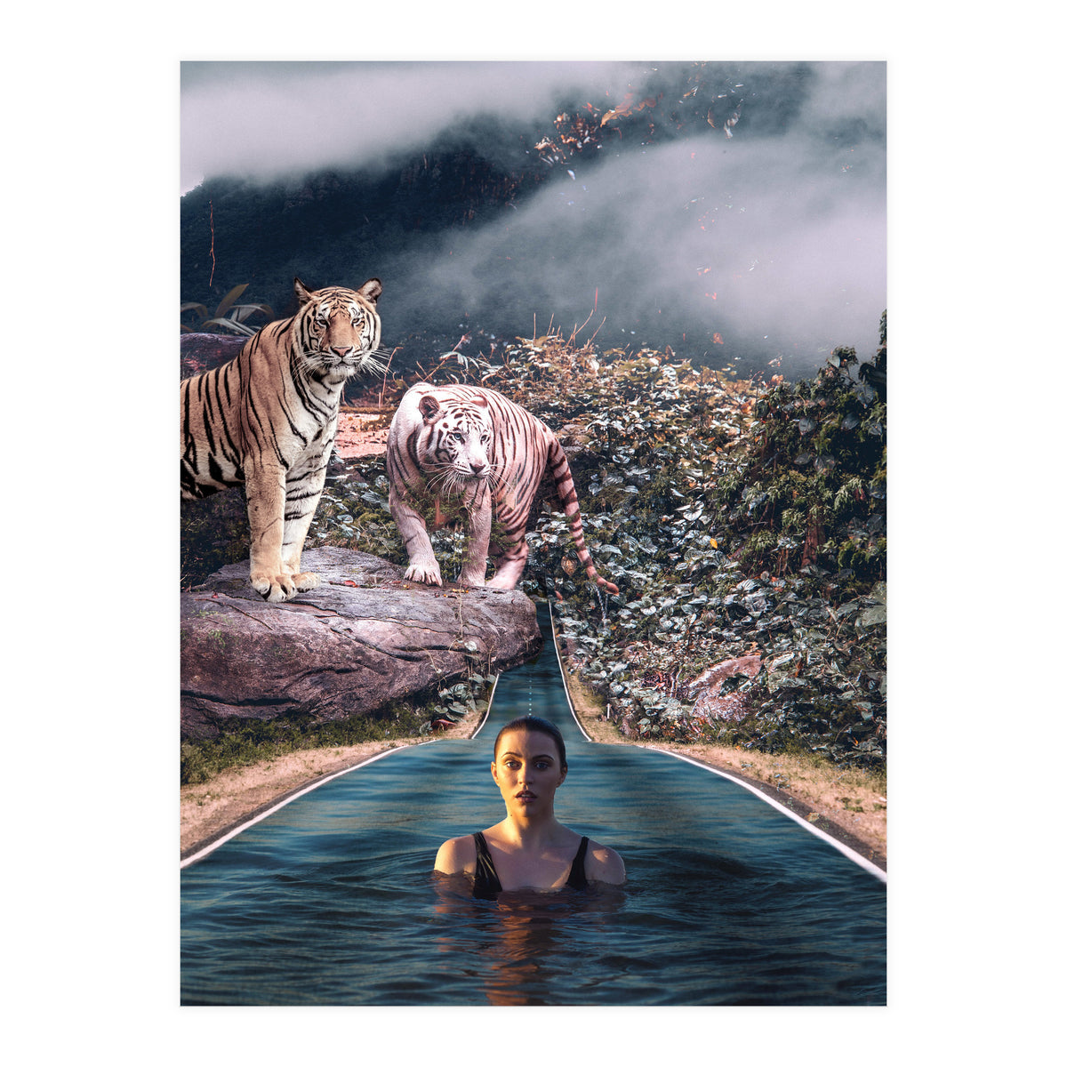 Infinite Pool To Tiger Jungle (Print Only)