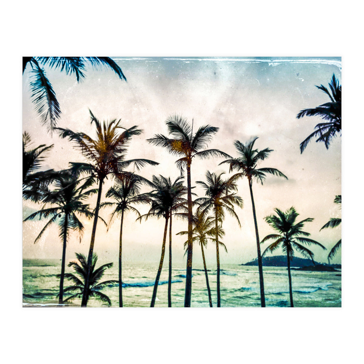 No Palm Trees (Print Only)