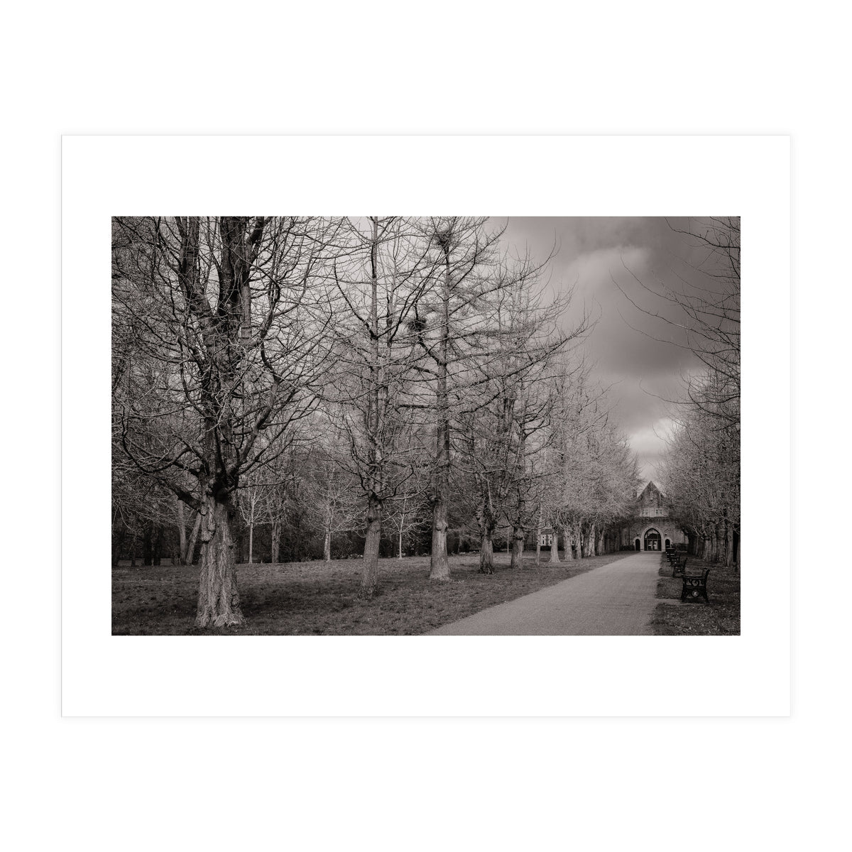 Bute Park, Cardiff (Print Only)