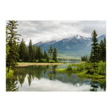 Nature (Print Only) thumbnail