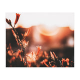 Nature (Print Only) thumbnail