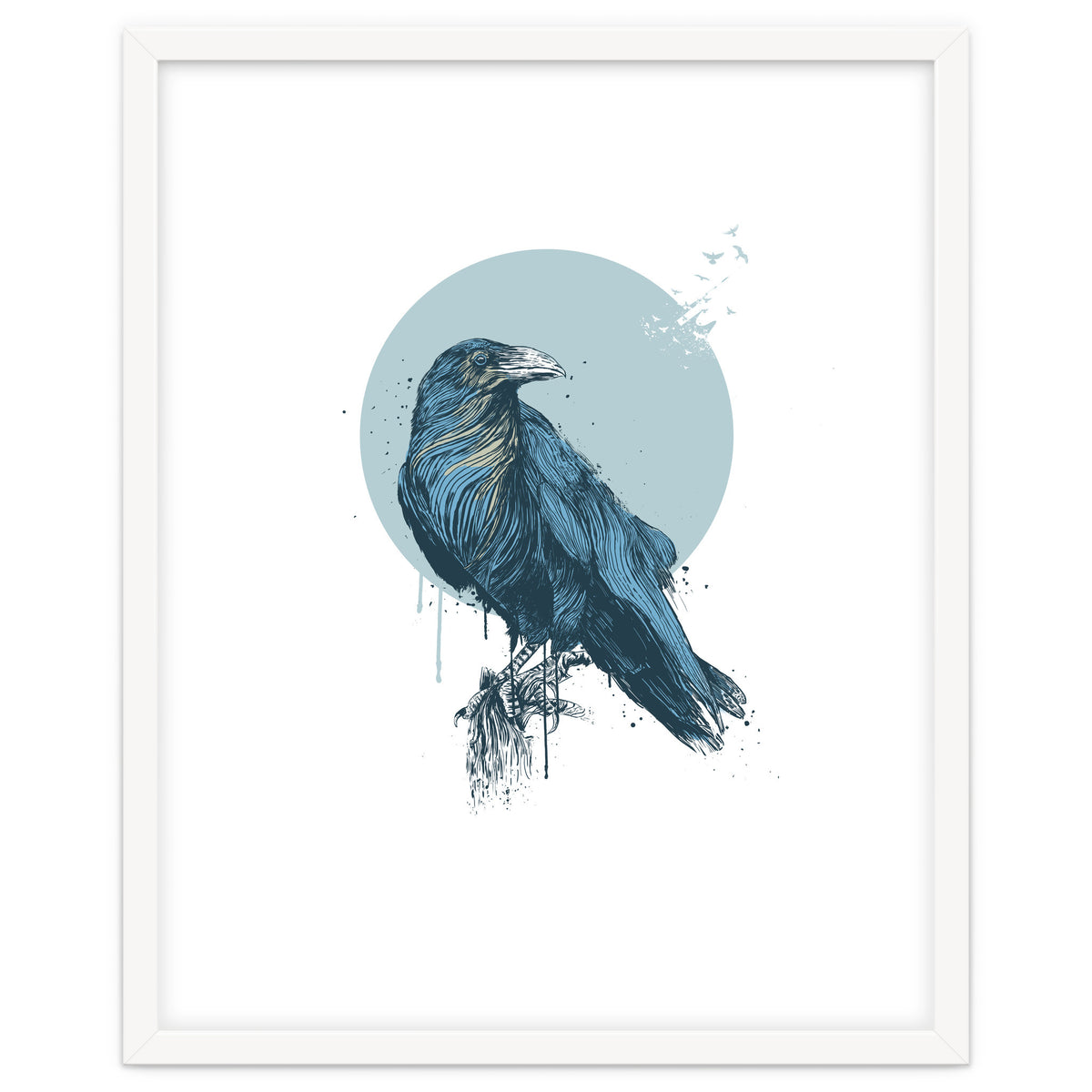 Blue Crow