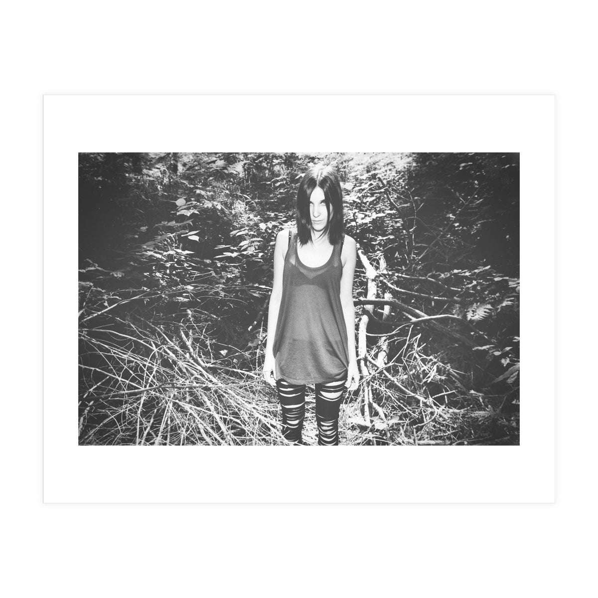 Camouflaged Animals (Print Only)