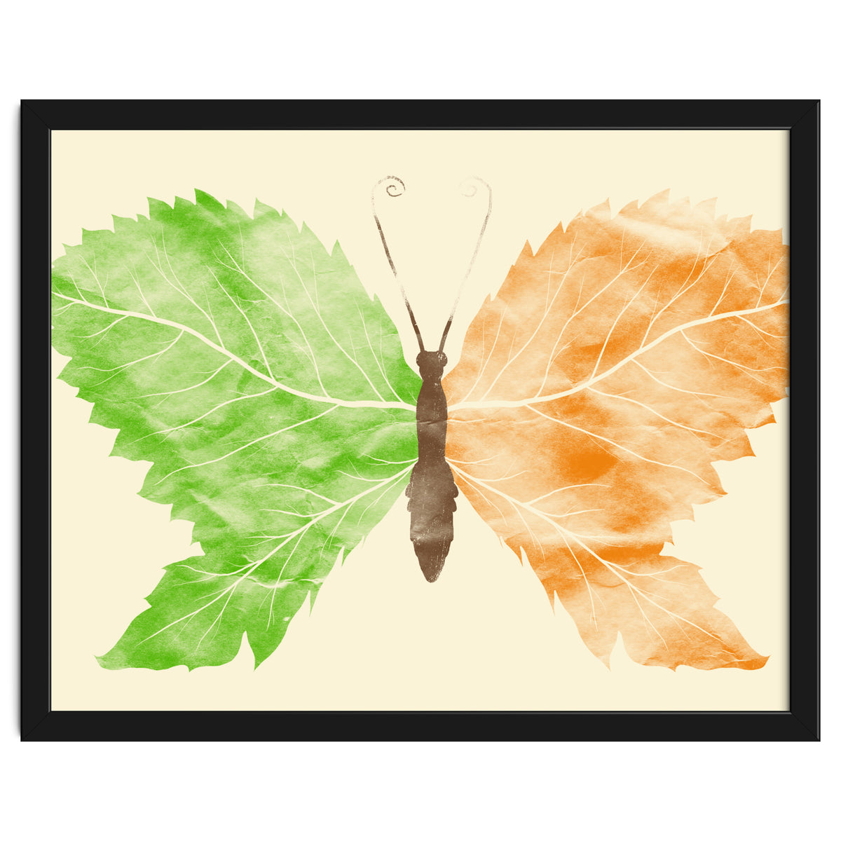 Seasons Change Time Flies