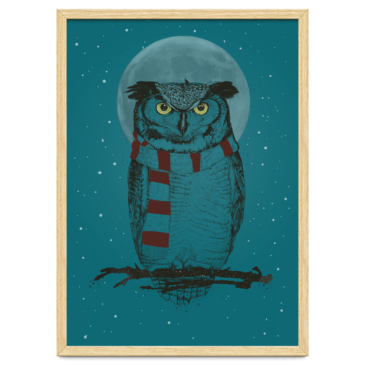 Winter Owl II