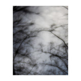 Forgotten Memories of Summer #16 (Print Only) thumbnail