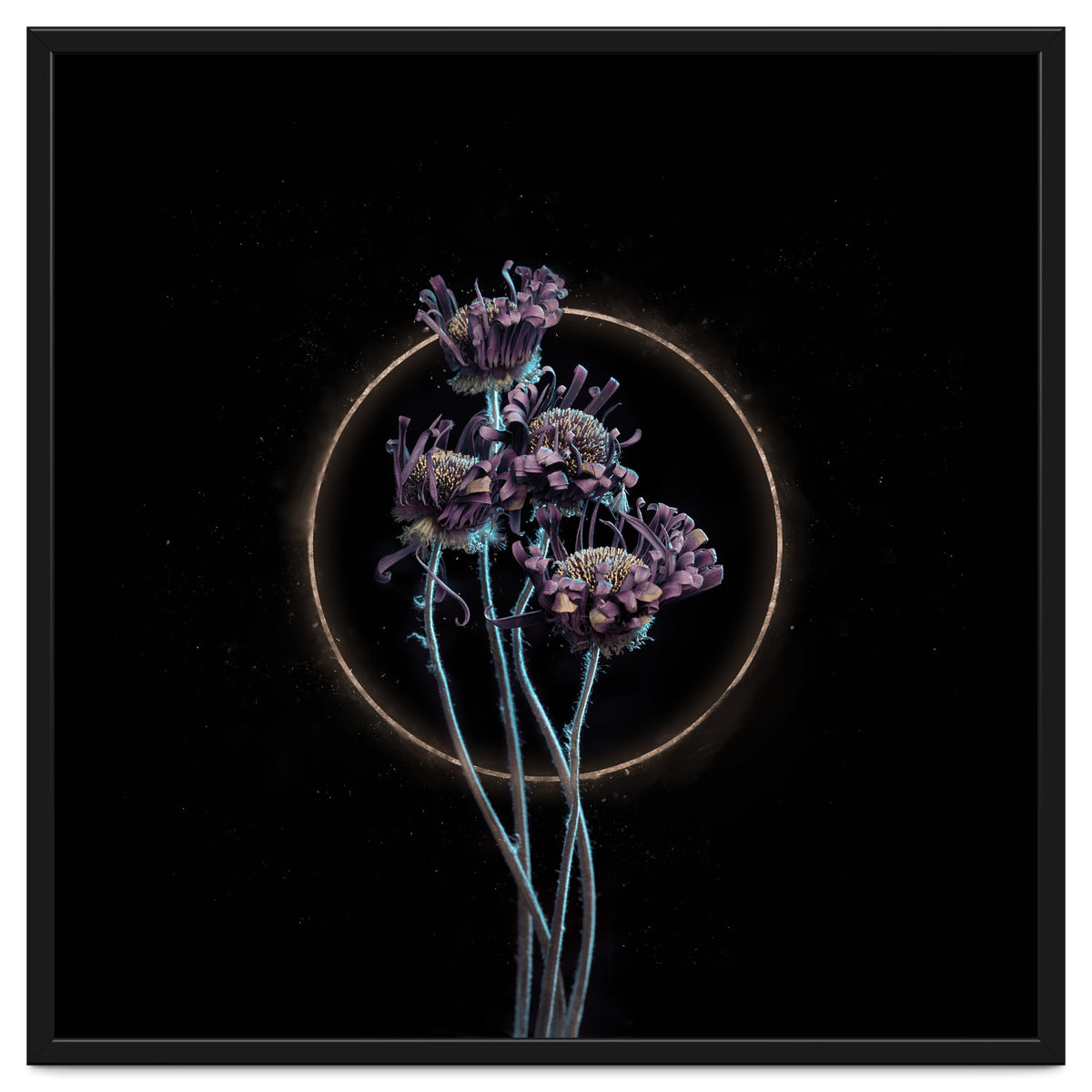 Candy-Coloured Mystery