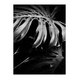monstera nature (Print Only) thumbnail