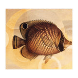 Fish Between Circles 3 (Print Only) thumbnail