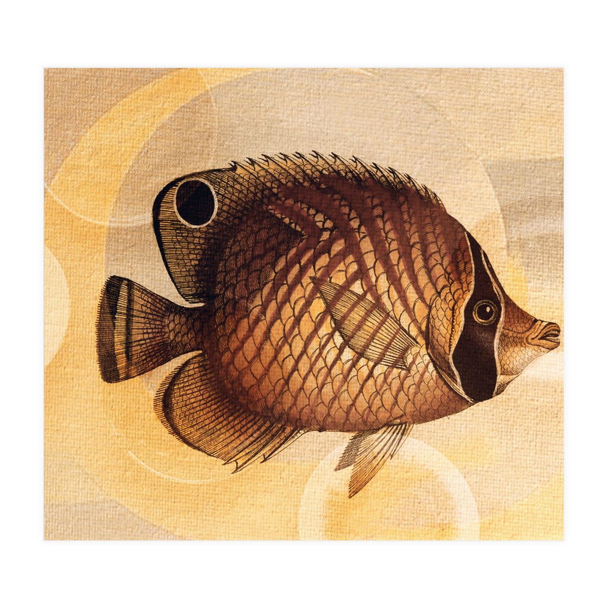 Fish Between Circles 3 (Print Only)