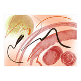 17 (Print Only) thumbnail