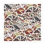 Moths of North America Pattern (Print Only) thumbnail