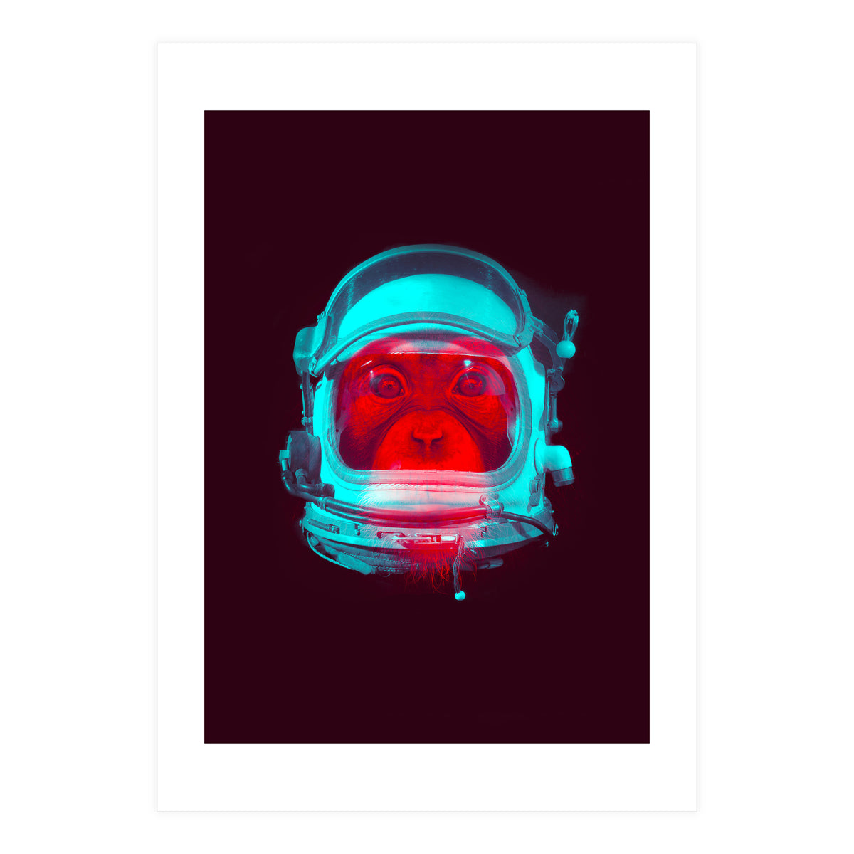Astronaut (Print Only)