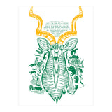 Kudu (Print Only) thumbnail
