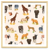 Animal Pattern