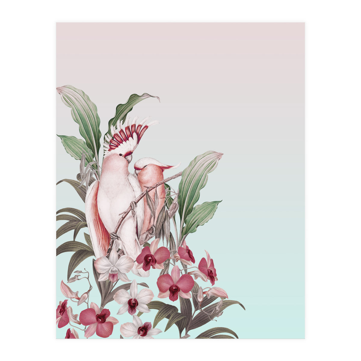 Pastel Cockatoos Paradise (Print Only)