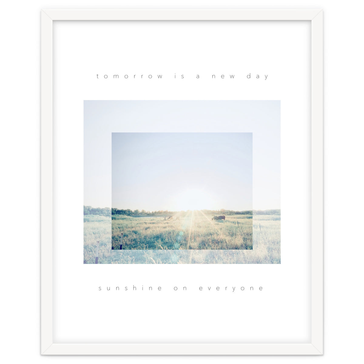 sunshine on everyone