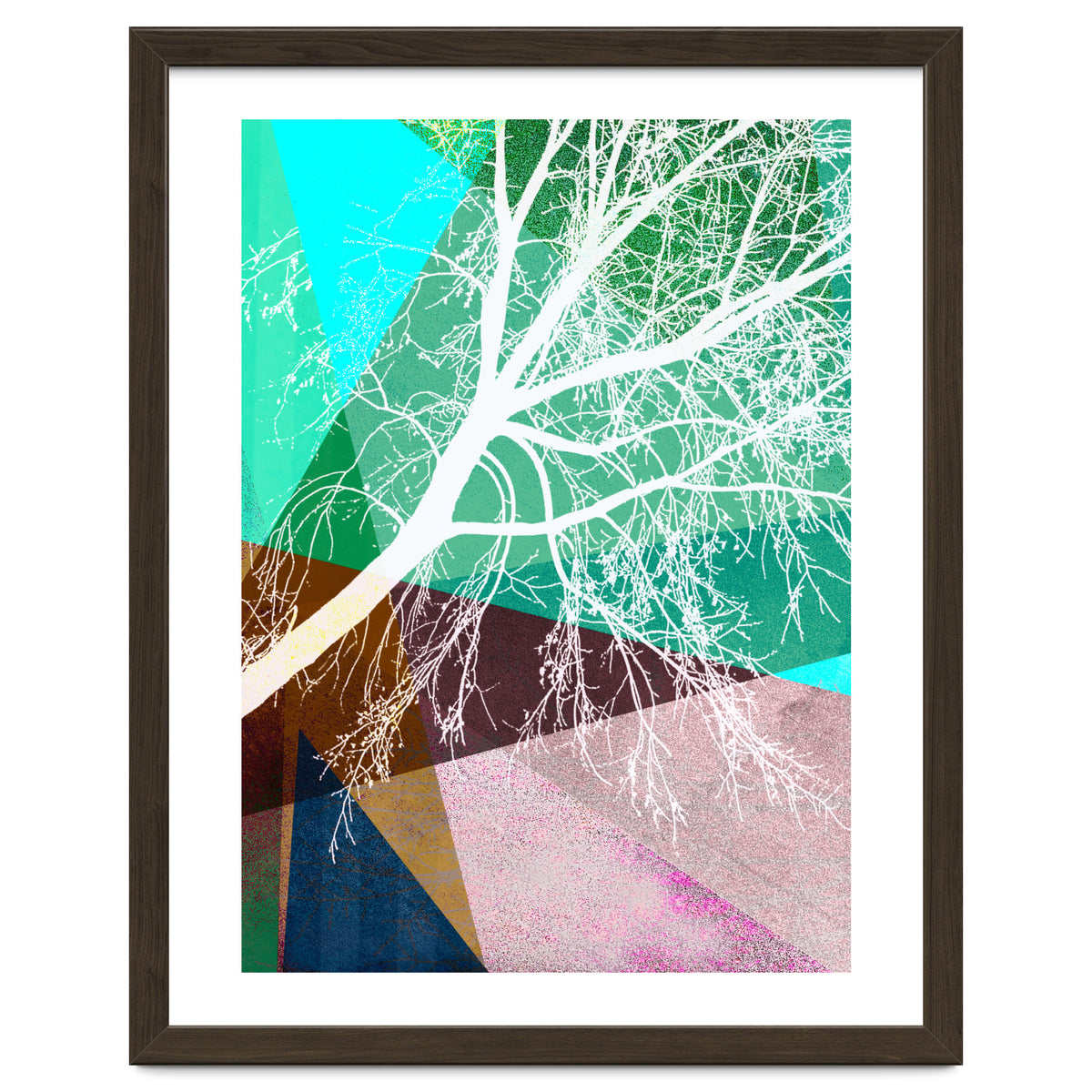 P16-H Trees And Triangles