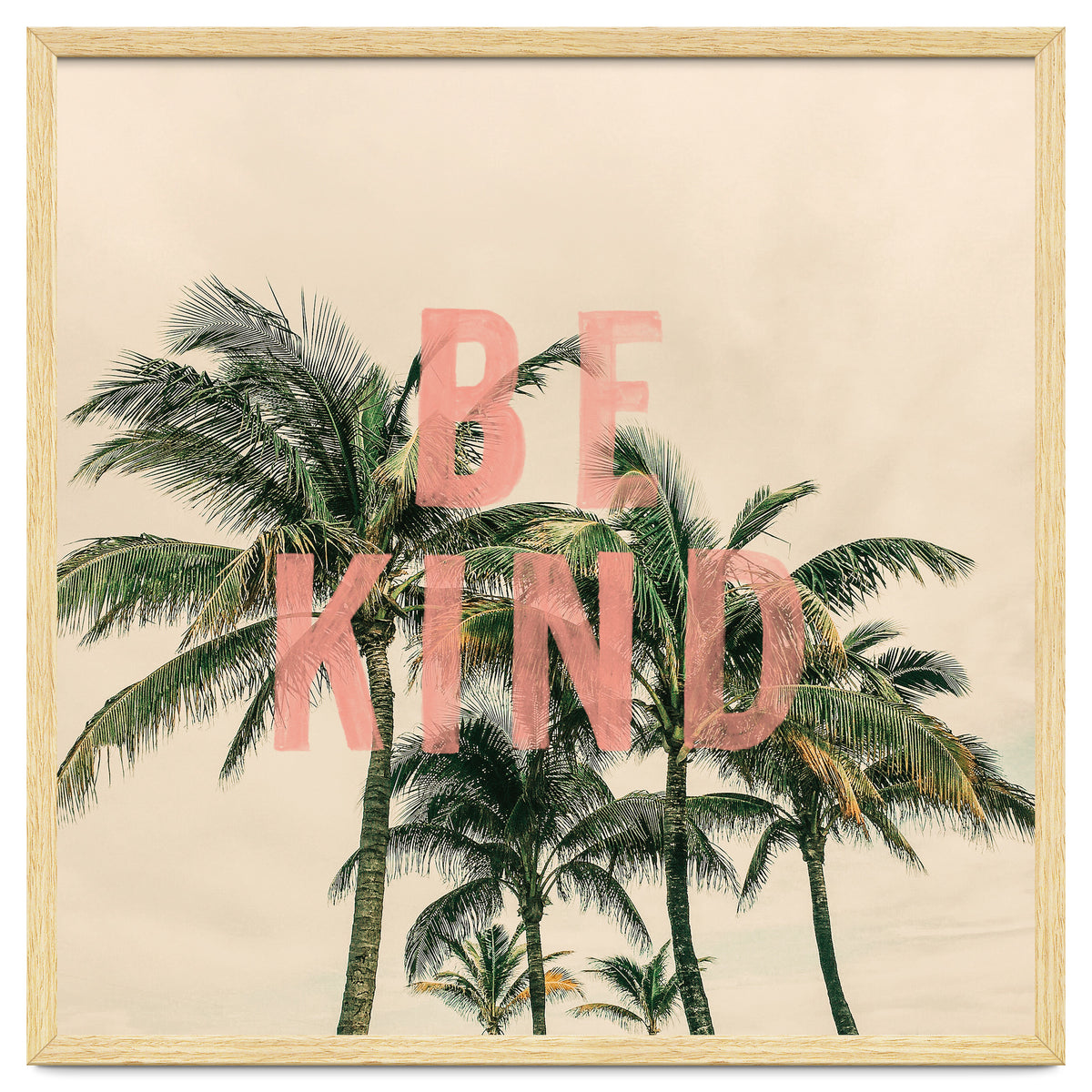 Be Kind Palm