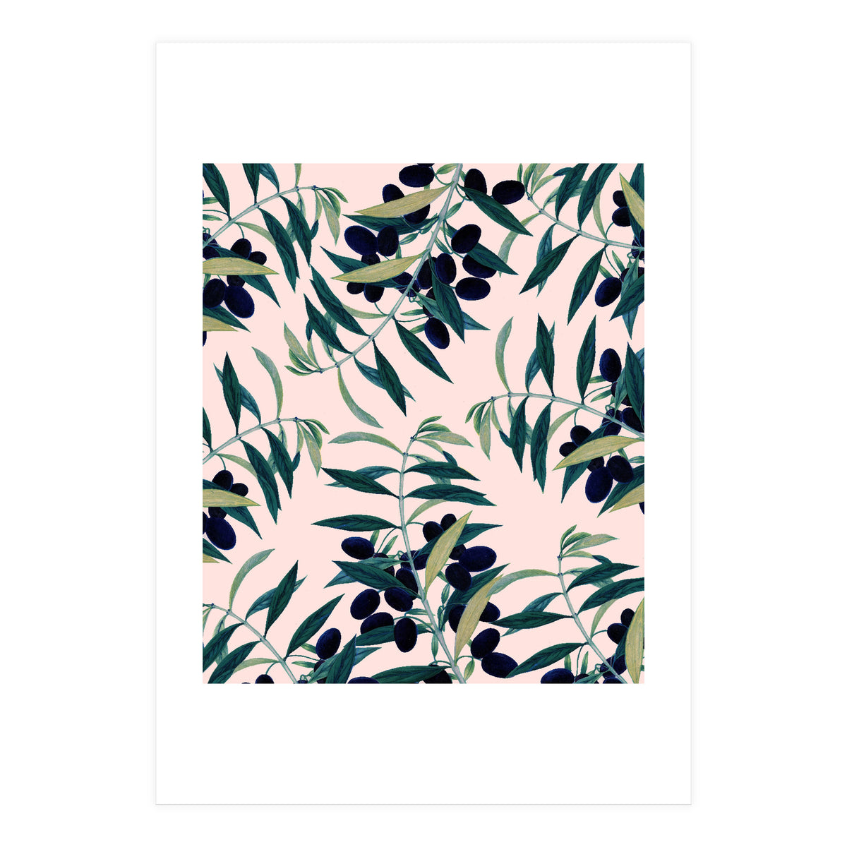 Olive Branch Pattern (Print Only)