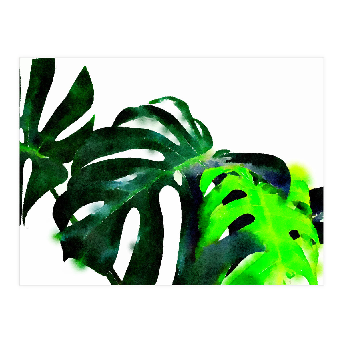 Fresh Leaves (Print Only)