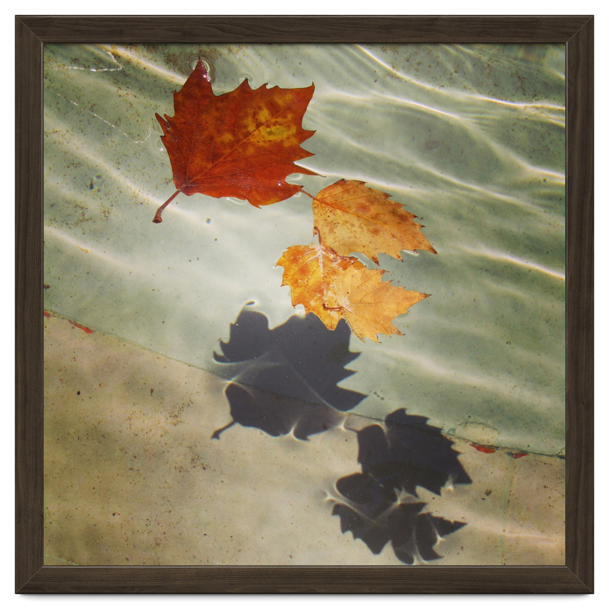 Floating leaves