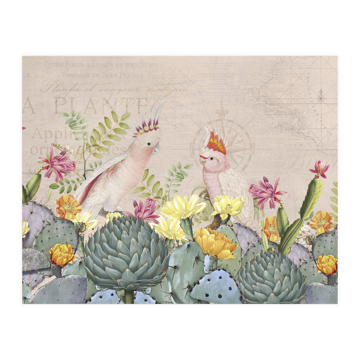 Desert Cockatoos (Print Only)