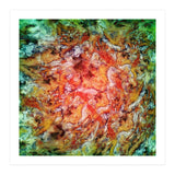 The Beautiful Evidence (Print Only) thumbnail