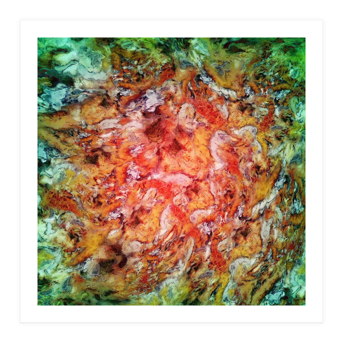 The Beautiful Evidence (Print Only)