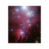 The Christmas Tree Cluster (Print Only) thumbnail